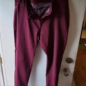 Maurices M Jeans Burgundy Pants